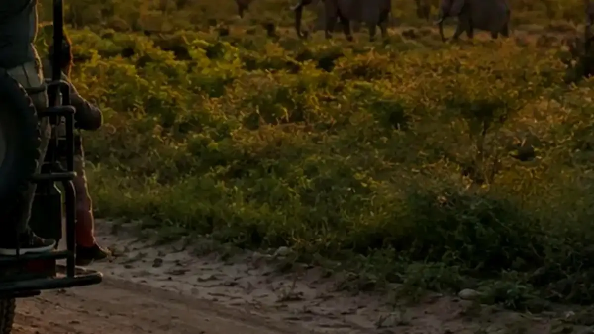 Crocodile Bridge-Skukuza-Malelane Two-Gate Circuit