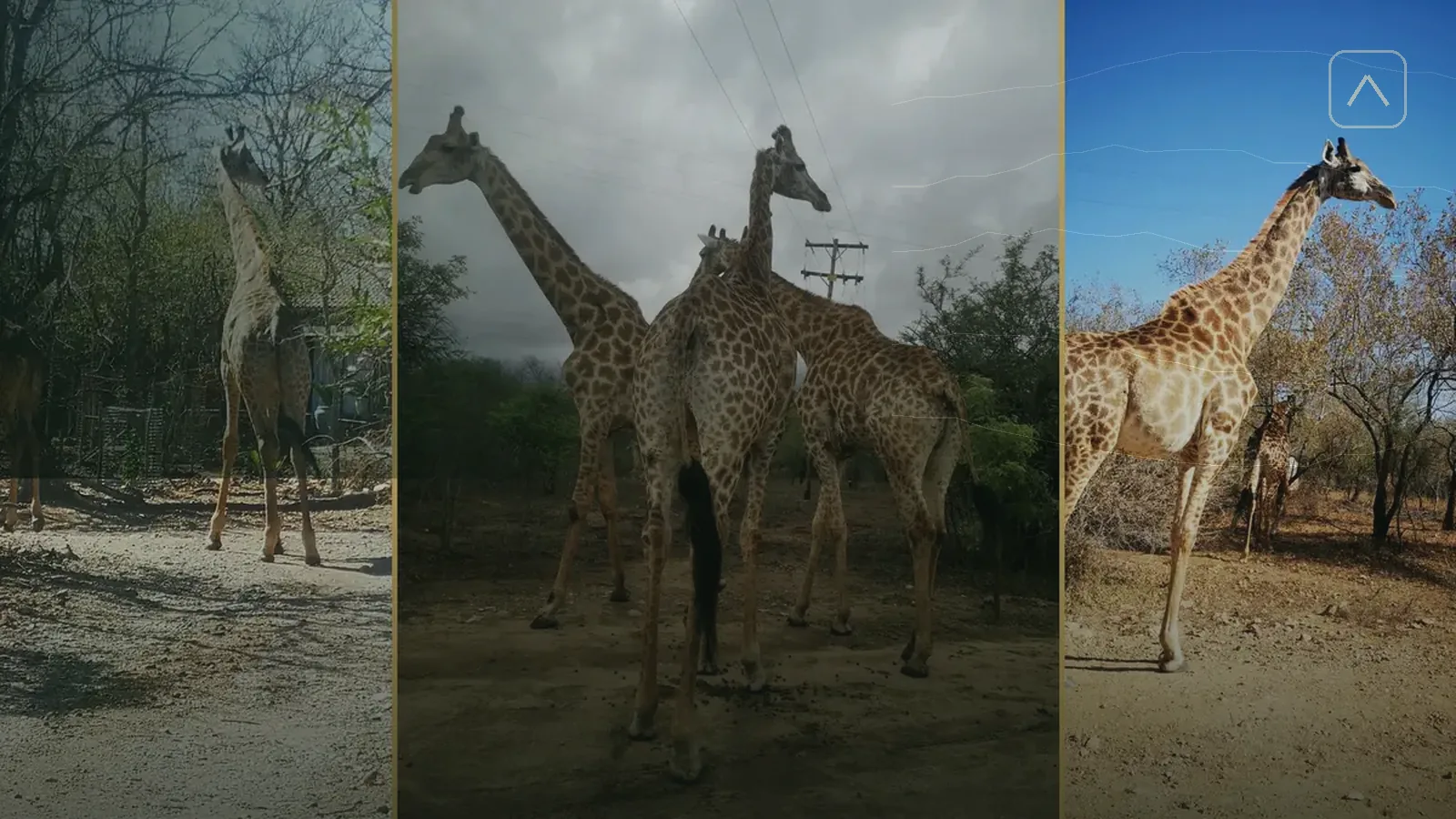 Safari luggage and practical bush holiday essentials arranged for a Marloth Park trip