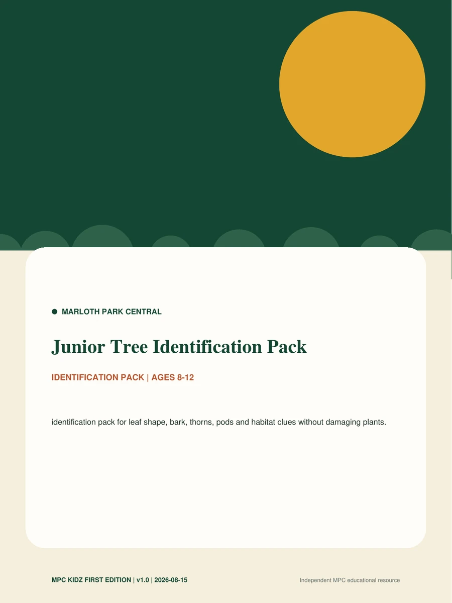 Junior Tree Identification Pack activity cover
