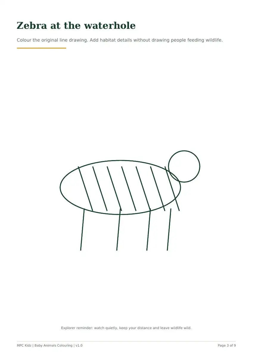 Baby Animals of the Bush Colouring Book preview 2