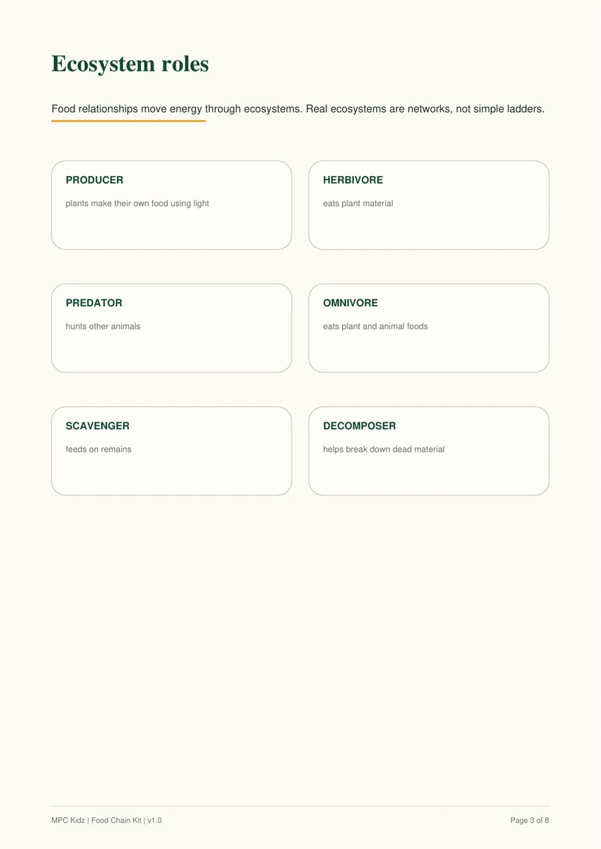 Food Chain and Ecosystem Kit preview 2